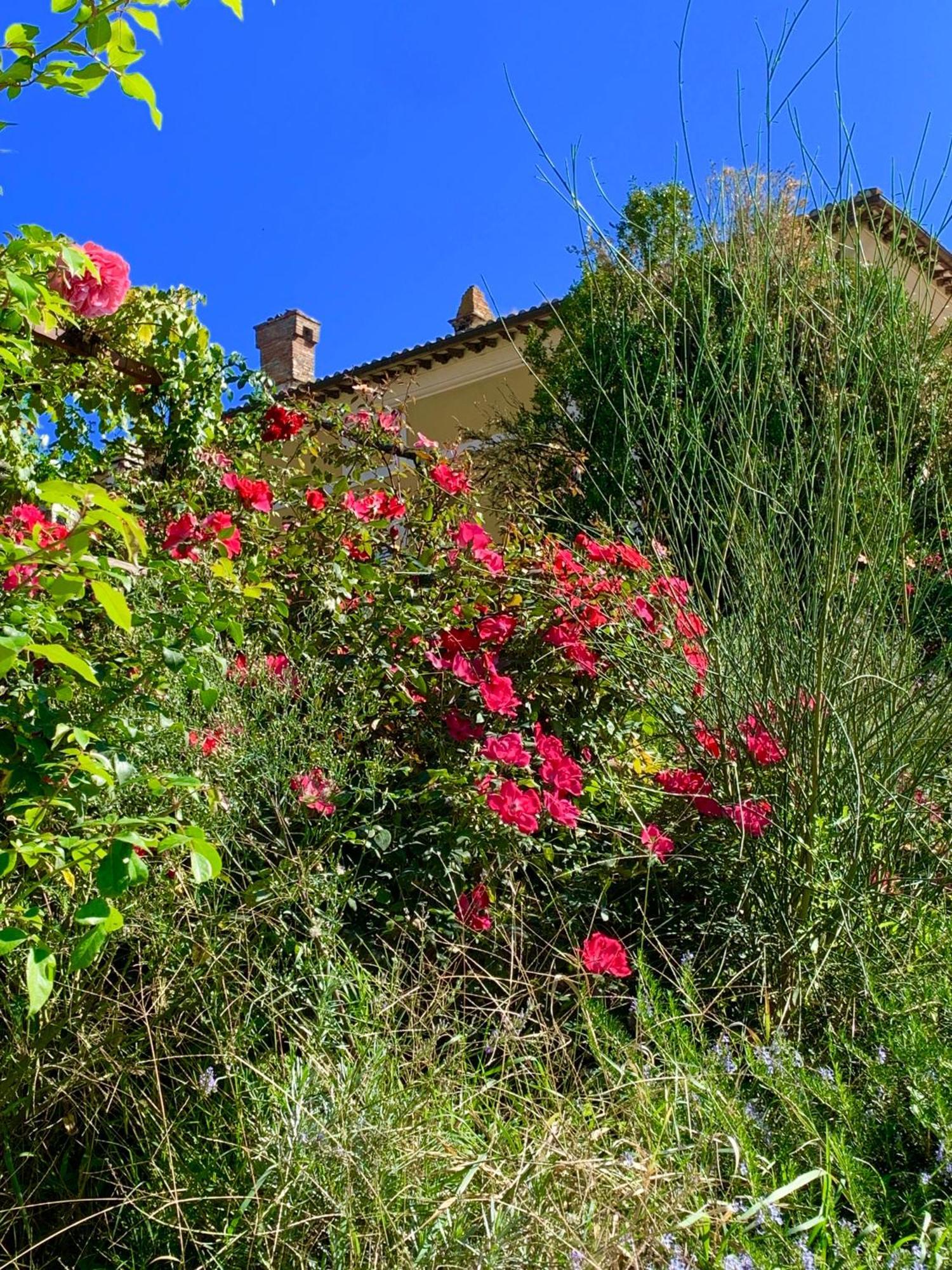 Il Broglino Villa Todi Exterior foto